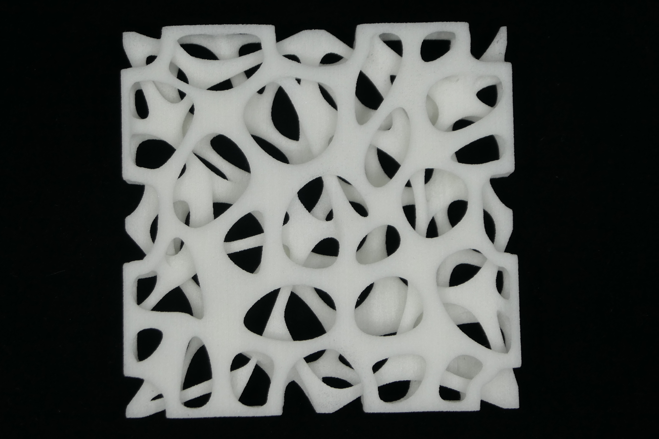 Bionische-Struktur-3D-Druck-Plexiglas-Binder-Jetting-PMMA-AE12-Web